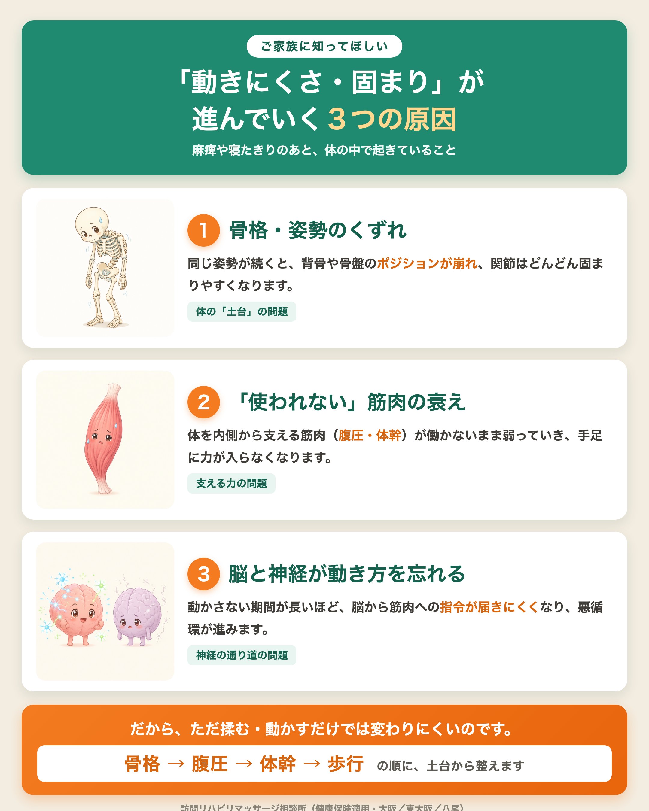 動きにくさ・固まりが進んでいく3つの原因（骨格・姿勢のくずれ／使われない筋肉の衰え／脳と神経が動き方を忘れる）を図解したインフォグラフィック